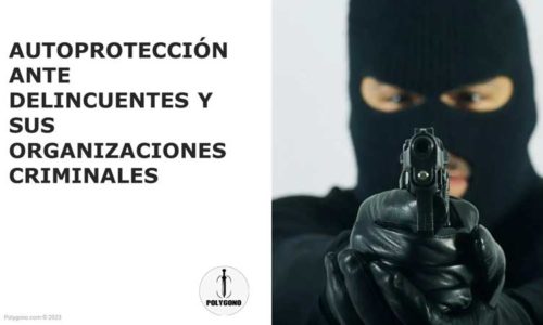 Curso de autoprotección ante delincuentes y sus organizaciones criminales