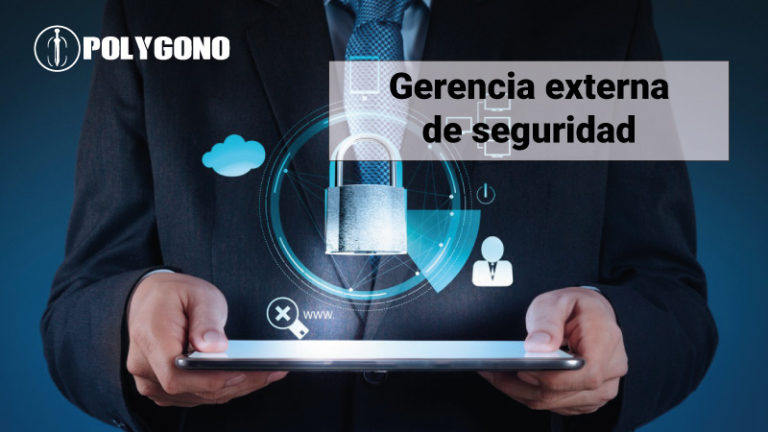 gerencia-externa-de-seguridad